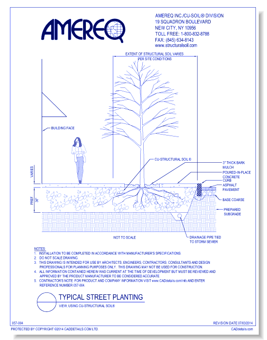 Typical Street Tree Planting, View 1, using CU-Structural Soil®