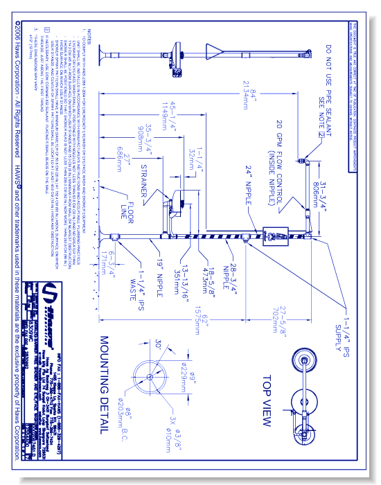 Model 8309WC: AXION® MSR Combination Shower and Eye/Face Wash