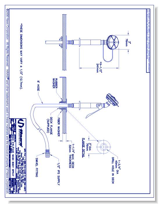 Model 8904: AXION® MSR Laboratory Counter-Mounted Eye/Face Wash Head
