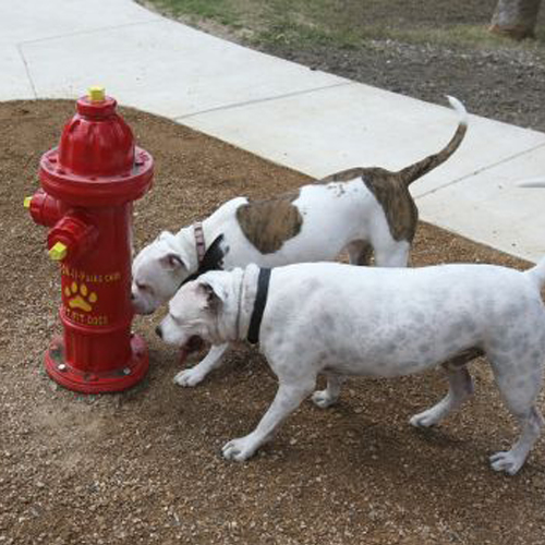 CAD Drawings BIM Models Dog-ON-It-Parks Fire Hydrant