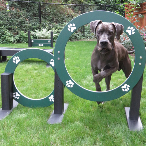CAD Drawings Dog-ON-It-Parks Eco Double Hoop Jump