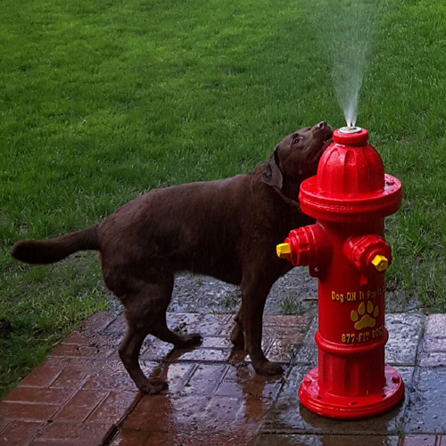 CAD Drawings Dog-ON-It-Parks Top Spray Fire Hydrant