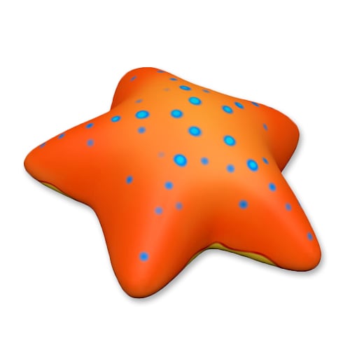 CAD Drawings Soft Play LLC Starfish (PTW35010)