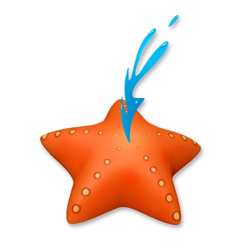 CAD Drawings Soft Play LLC Starfish (PTW50008)