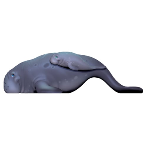 CAD Drawings Soft Play LLC Manatee With Calf (TP2244)