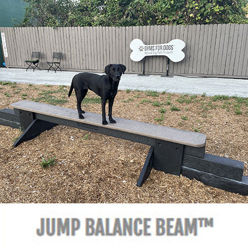 CAD Drawings BIM Models Gyms For Dogs® Jump Balance Beam™