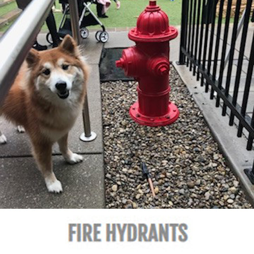 CAD Drawings BIM Models Gyms For Dogs® Fire Hydrants