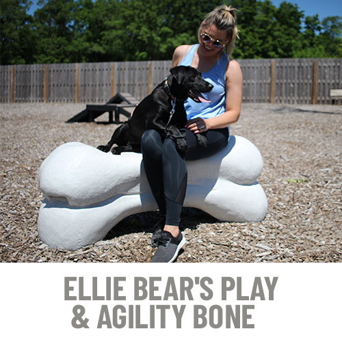 CAD Drawings BIM Models Gyms For Dogs® Ellie Bear's Play & Agility Bone™