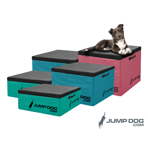 CAD Drawings Gyms For Dogs® Jump Dog™ Agility