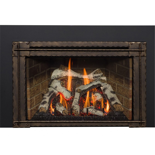 CAD Drawings BIM Models Kozy Heat Fireplaces Gas Insert: Roosevelt 29