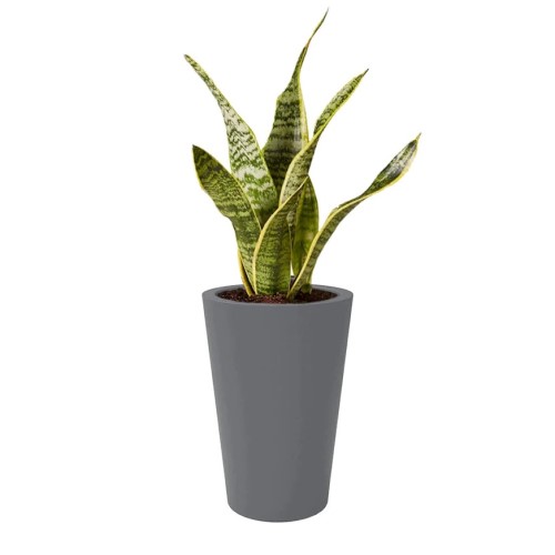 CAD Drawings PureModern PurePots: Repton Tapered Round Fiberglass Planter - 4322R