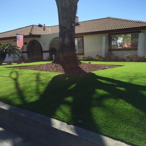 CAD Drawings Purchase Green Southwestern Sod