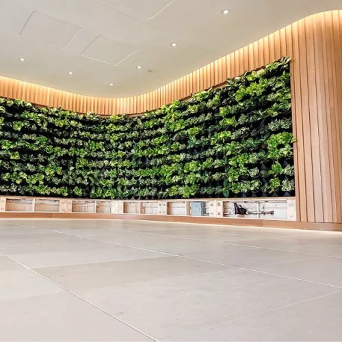 CAD Drawings BIM Models Green Oasis Living Plant Walls