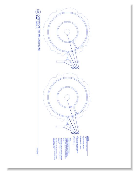 HDL - Tree Ring Large Specimen