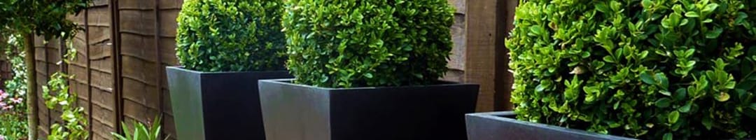 Urban Pot