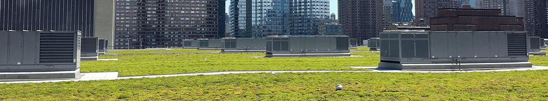 Chatfield Green Roofing