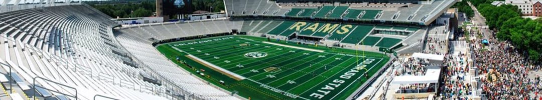 Shaw Sports Turf