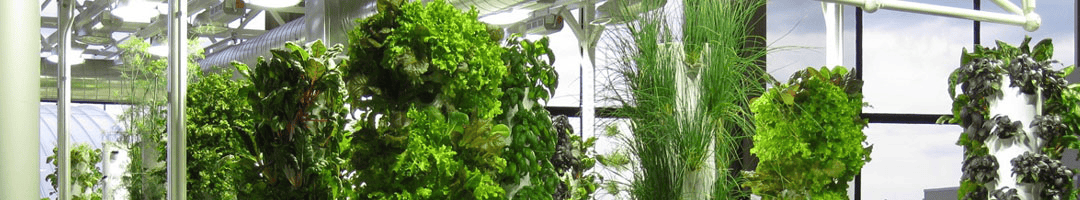 Tower Farms