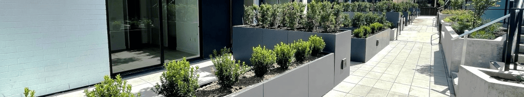 C3 Planters