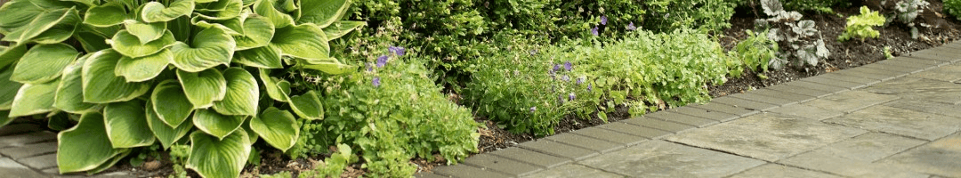 Europa Landscaping Products