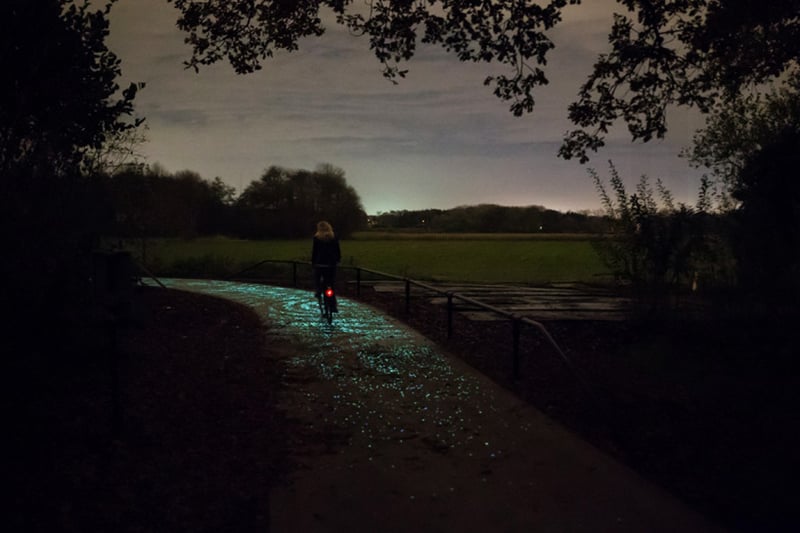 Van Gogh-Roosegaarde cycle path preview 4