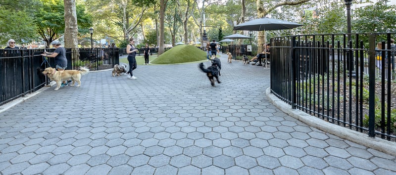 Jemmy’s Dog Run – Madison Square Park