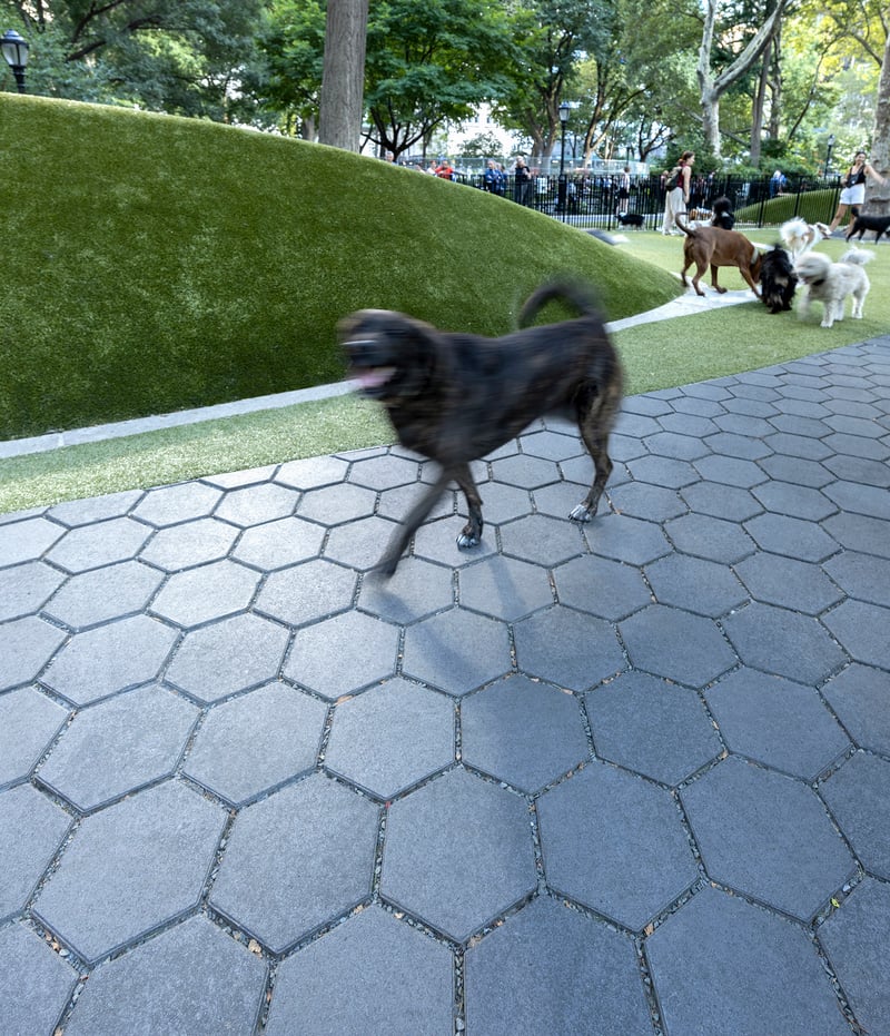 Jemmy’s Dog Run – Madison Square Park preview 2