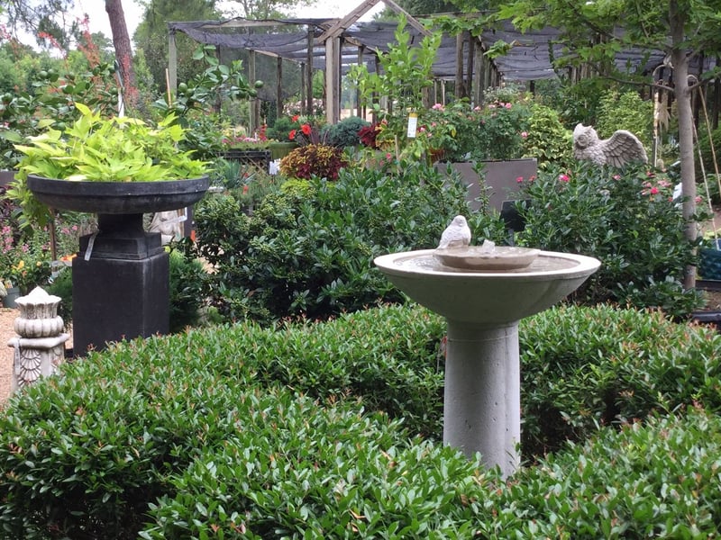Breedlove Nursery preview 2