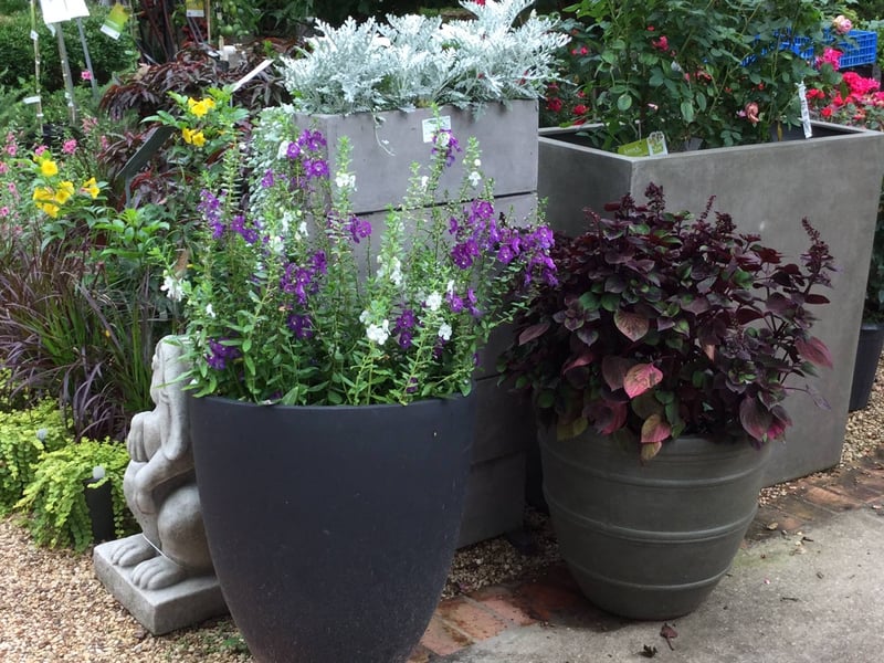 Breedlove Nursery preview 4