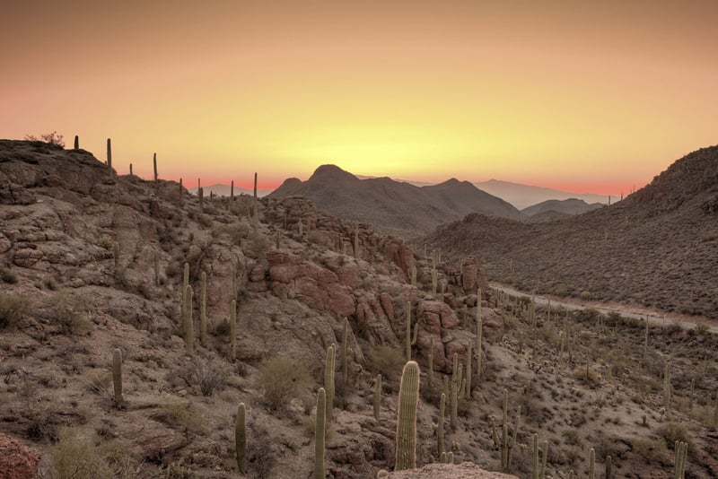 Saguaro National Park East preview 2