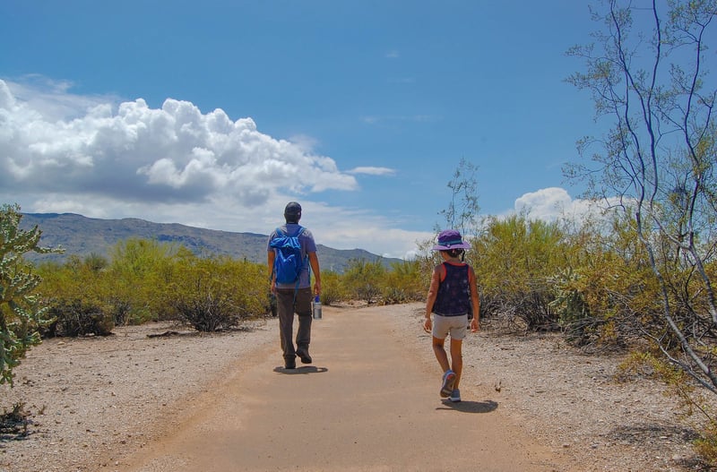 Saguaro National Park East preview 4