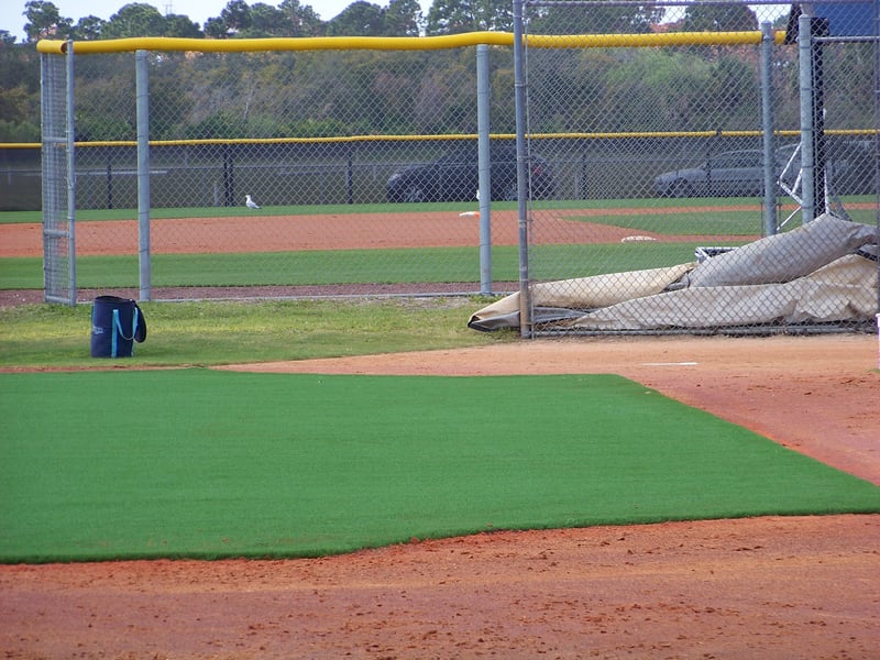 Tampa Bay Rays Half Field Retro-Fit preview 17