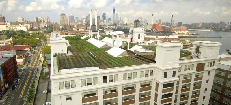 Brooklyn Grange Rooftop Farm #2 at Brooklyn Navy Yard, Building No. 3 