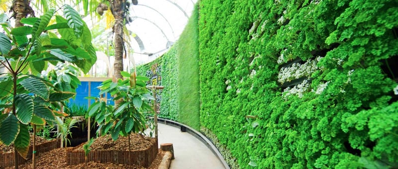 ROYAL BOTANIC GARDEN preview 4