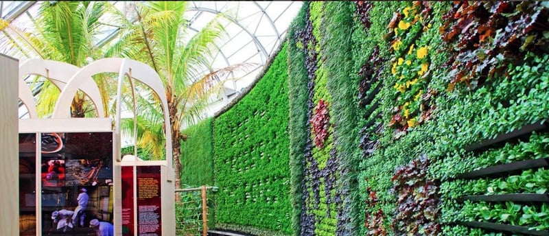 ROYAL BOTANIC GARDEN preview 6