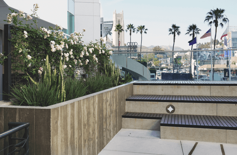 Ovation Center: A Hollywood Landmark Gets a Fresh, Green Facelift preview 6