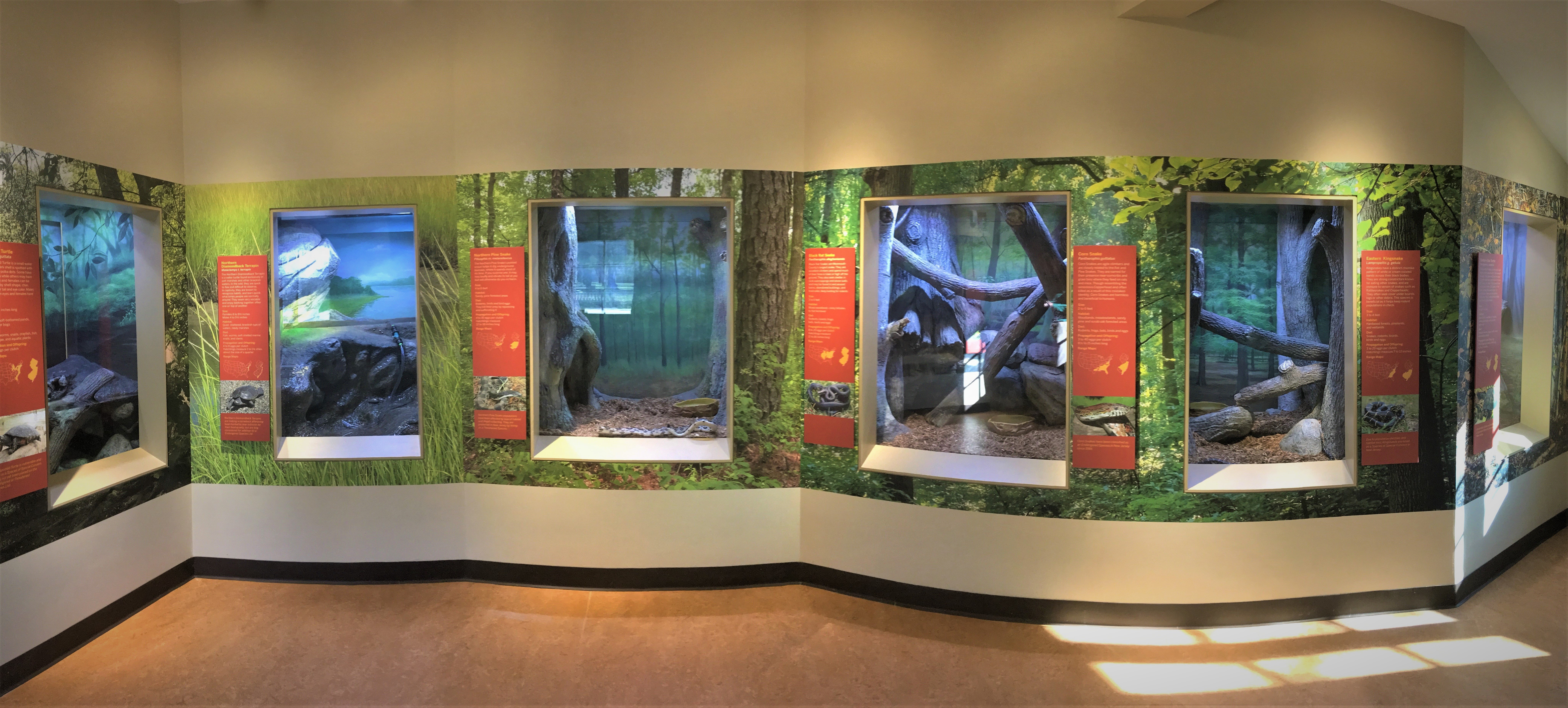 Reptile Exhibits - CADdetails
