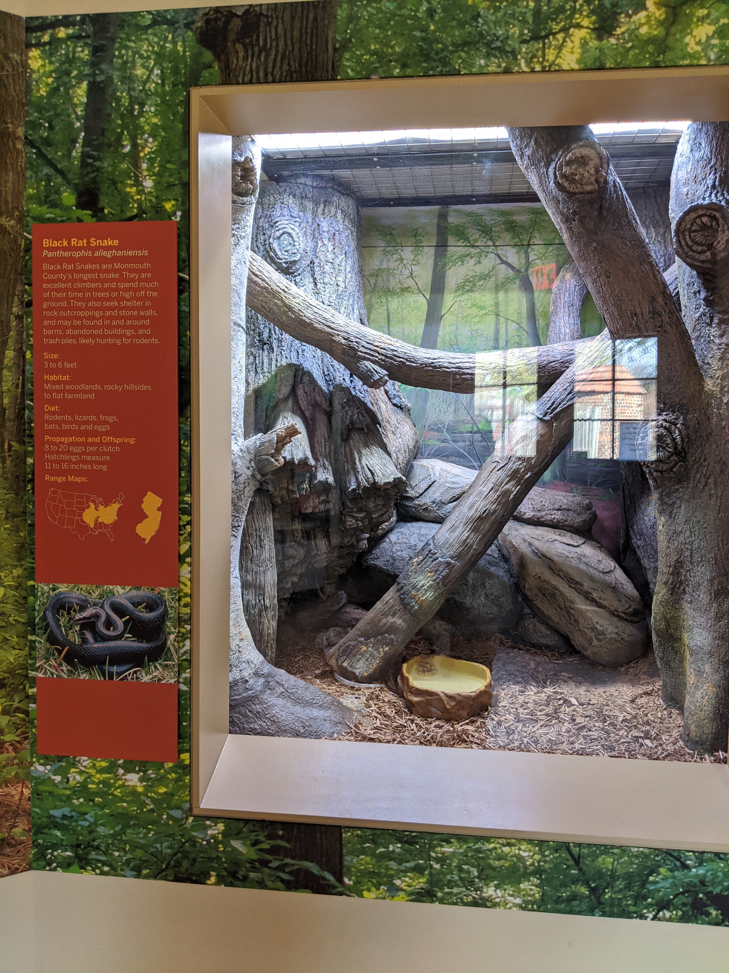 Reptile Exhibits - CADdetails