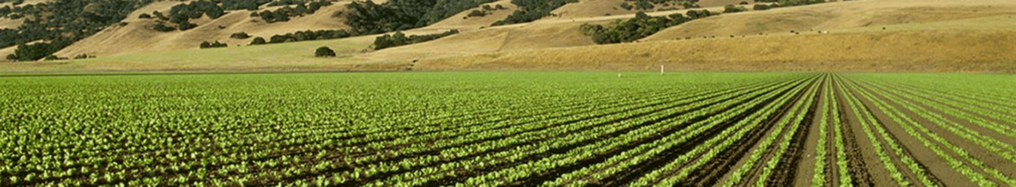 Toro Company - Irrigation Division