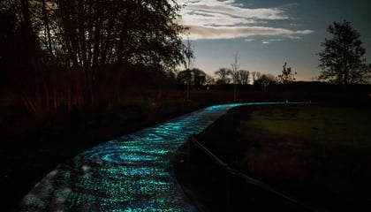 Van Gogh-Roosegaarde cycle path