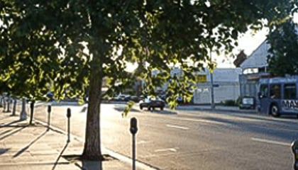 Martin Luther King Jr Blvd