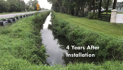 Vegetated Stormwater Channels