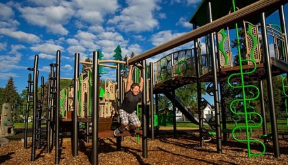 Honey Bee Themed Park