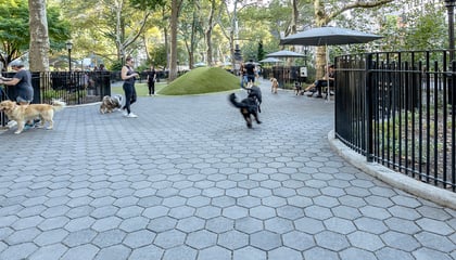 Jemmy’s Dog Run – Madison Square Park