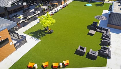 Paws & Pints Social Haven For Pups And People