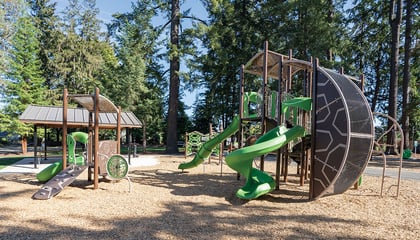 La Raiz Park