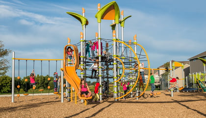 PlayBooster® Netplex® Design 3813 Edgewater Park