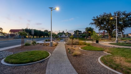 Fig Tree Park