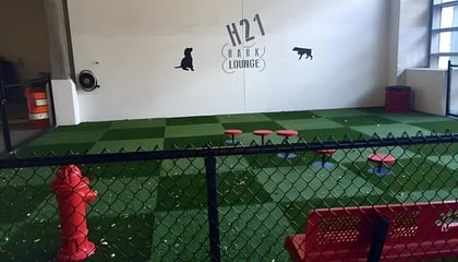 Hartford 21 Bark Lounge