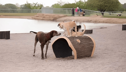 Z Bonz Dog Park